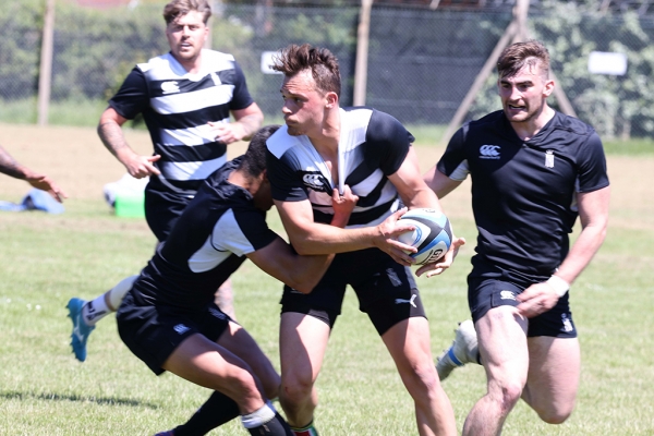 Sharks and Stingrays Face Off at Sultan